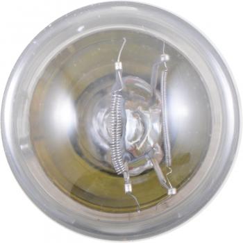 1994 Dodge Stealth Side Marker Light Bulb Front Philips 3496LLB2 image 2 of 4