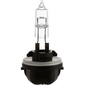 1993 Pontiac Sunbird Back Up Light Bulb Philips 889B1 image 1 of 4