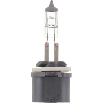 1994 Ford Ranger Fog Light Bulb Front Philips 893B1 image 4 of 4