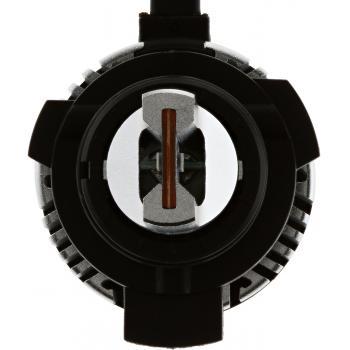 2016 Ford Taurus Headlight Bulb High Beam and Low Beam Philips 9012UELED image 3 of 4