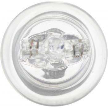 2011 Lexus LX570 Back Up Light Bulb Inner Philips 921B2 image 4 of 4
