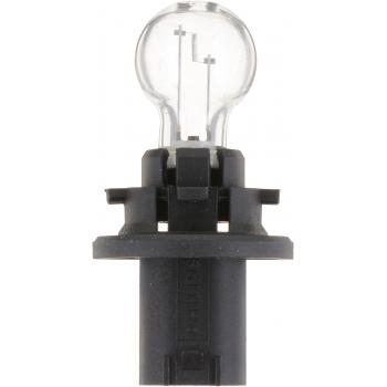 2007 Saturn Outlook Back Up Light Bulb Philips HPC16WC1 image 3 of 4