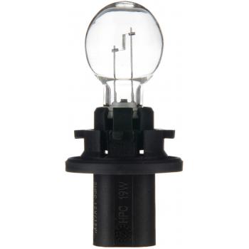 2010 GMC Acadia Back Up Light Bulb