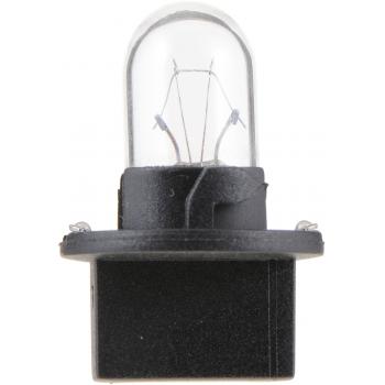 2001 Oldsmobile Alero Instrument Panel Light Bulb Philips PC161B2 image 4 of 4