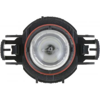 2015 Jaguar XF Back Up Light Bulb Philips PS19WB1 image 2 of 4