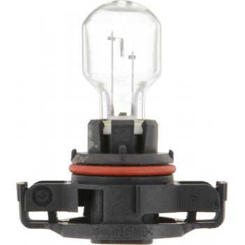 2015 Jaguar XF Back Up Light Bulb Philips PS19WC1 image 1 of 4