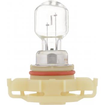 2011 Dodge Nitro Fog Light Bulb Front Philips PSX24WB1 image 1 of 4