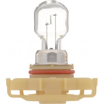 2011 Dodge Nitro Fog Light Bulb Front Philips PSX24WC1 image 1 of 4