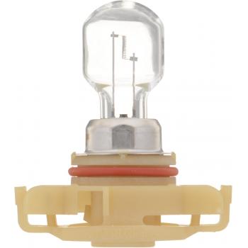 2011 Dodge Nitro Fog Light Bulb Front Philips PSX24WC1 image 4 of 4