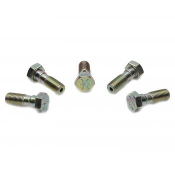 2002 Mercury Mountaineer Brake Hydraulic Banjo Bolt Front Raybestos H5377 image 1 of 1