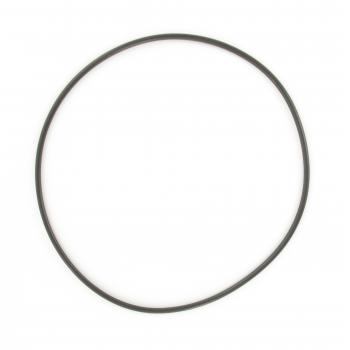 SKF Wheel Hub O-Ring product image