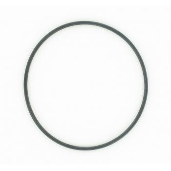 SKF Wheel Bearing O-Ring product image