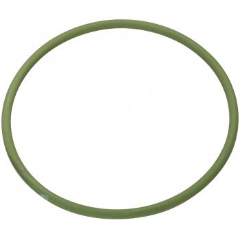 1997 Nissan Tsuru Fuel Pump Tank Seal