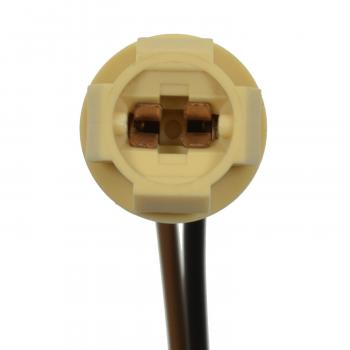 1985 Ford EXP License Lamp Socket Standard Motor Products S100 image 3 of 3