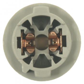 2005 Pontiac Vibe License Lamp Socket Standard Motor Products S1732 image 3 of 4