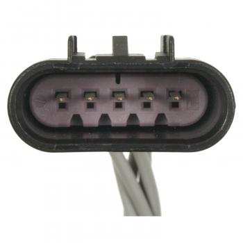 2009 GMC Yukon XL 2500 Rear Lamp Harness Connector Standard Motor Products S2066 image 3 of 3