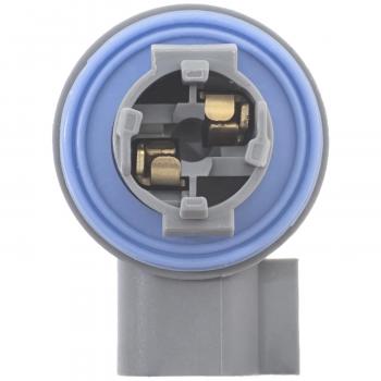 2006 Dodge Ram 2500 License Lamp Socket Standard Motor Products S2290 image 1 of 4